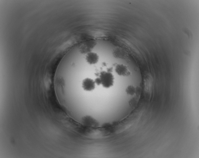 X0000113890618200910081810