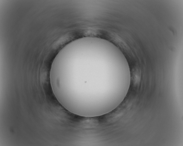 X0000113890619200910081810