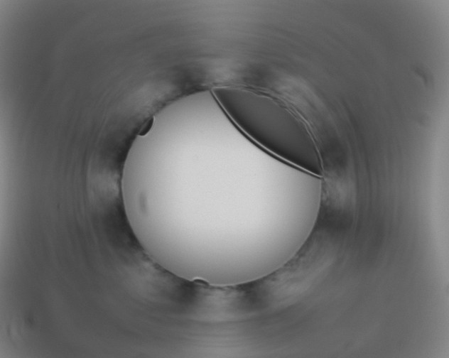 X0000113890621200910081809