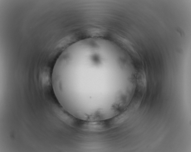 X0000113890622200910081809