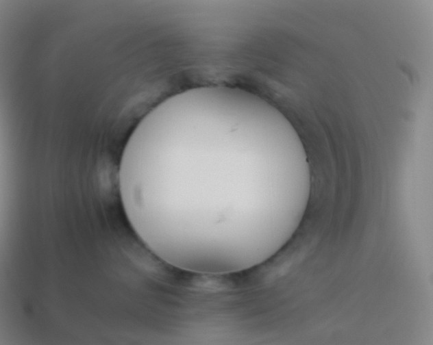 X0000113890624200910081809