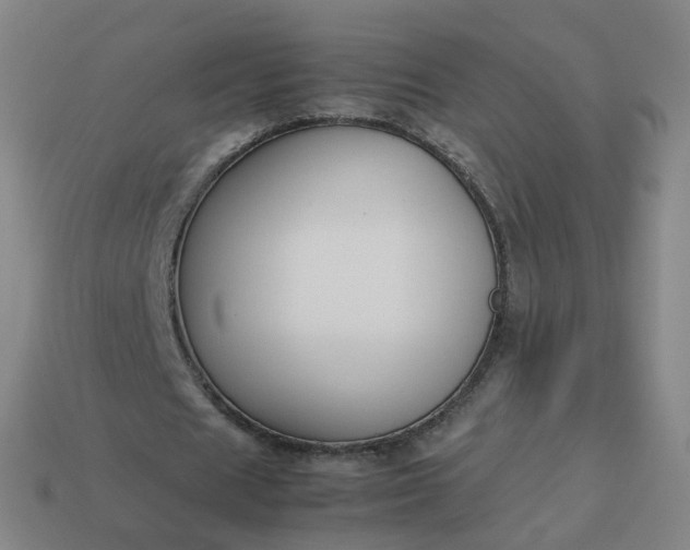 X0000113890625200910081809