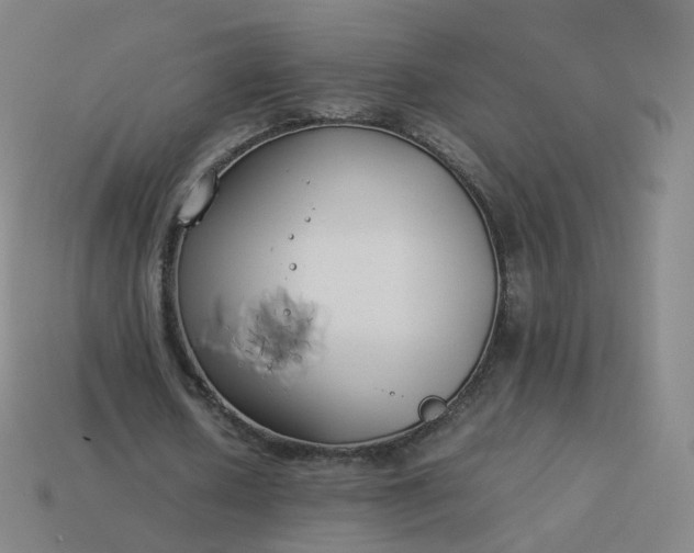 X0000113890626200910081809