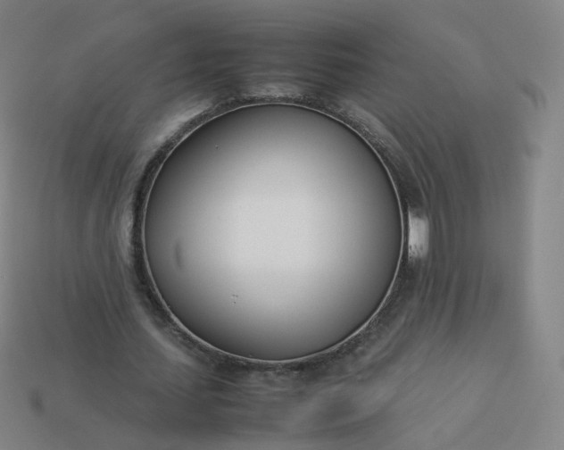 X0000113890627200910081809