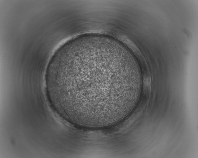 X0000113890628200910081809