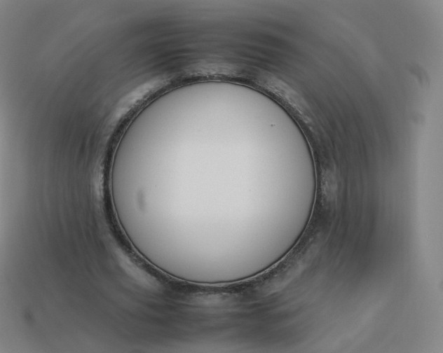 X0000113890629200910081809