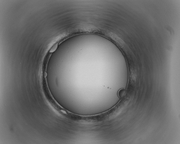 X0000113890630200910081809