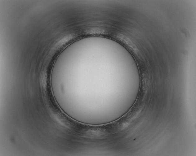 X0000113890631200910081809