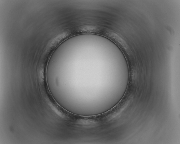 X0000113890633200910081809