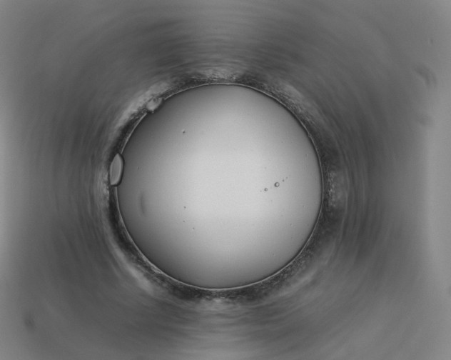 X0000113890634200910081809