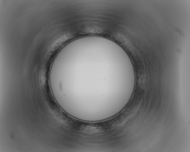 X0000113890635200910081809