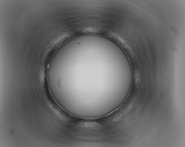 X0000113890637200910081809