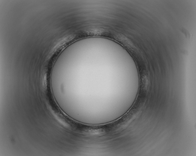 X0000113890638200910081809