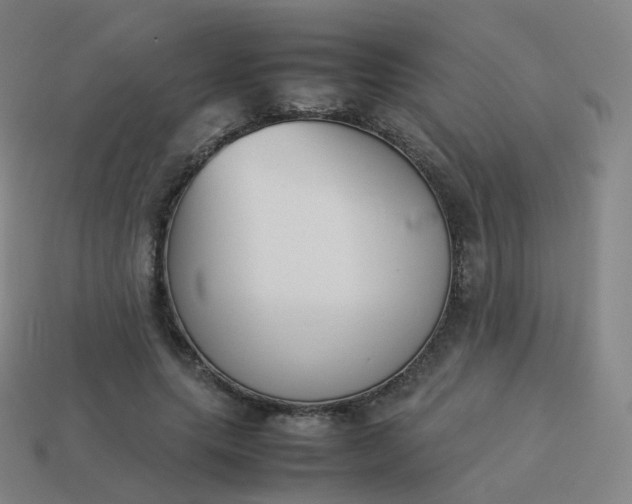 X0000113890639200910081809