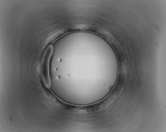 X0000113890640200910081809