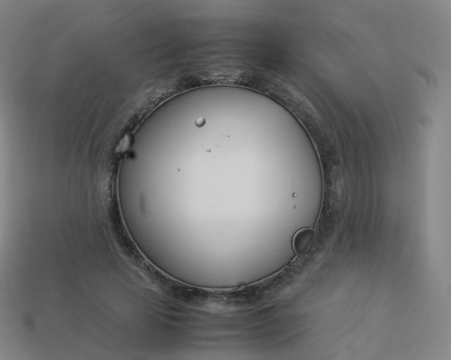 X0000113890641200910081809