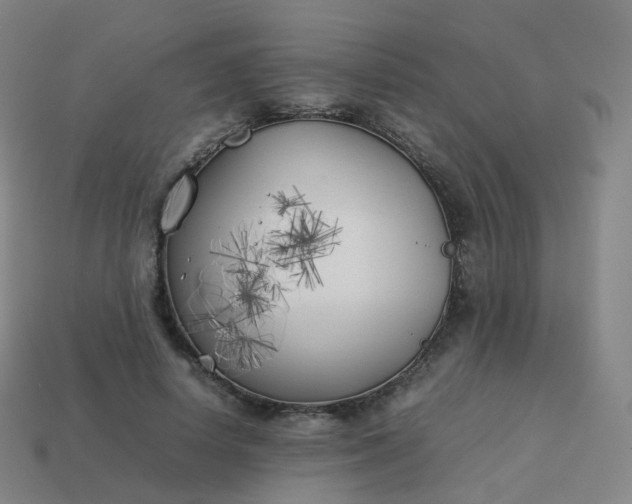 X0000113890642200910081809