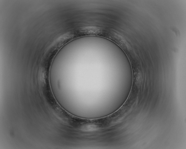 X0000113890643200910081809