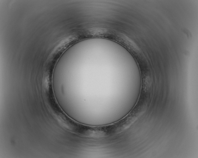 X0000113890644200910081809