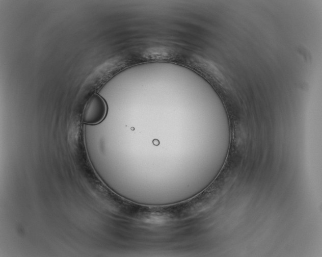 X0000113890645200910081809