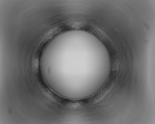 X0000113890646200910081809