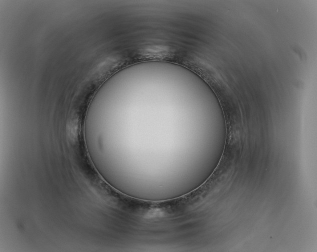 X0000113890647200910081809