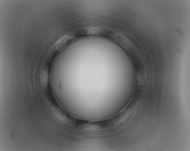 X0000113890648200910081809