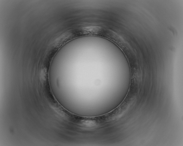 X0000113890649200910081809