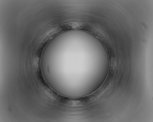 X0000113890650200910081809