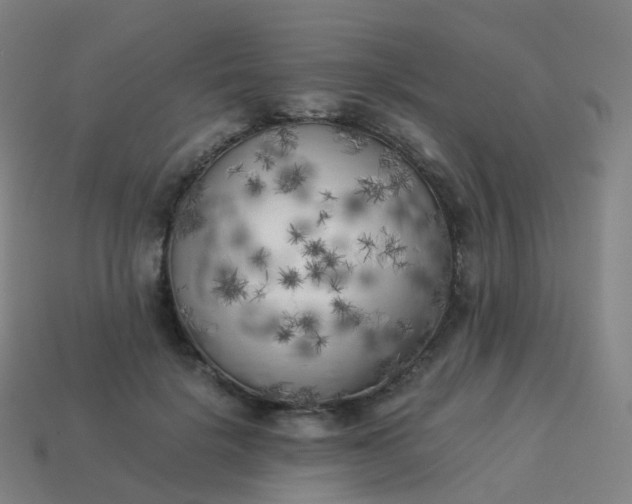 X0000113890652200910081809