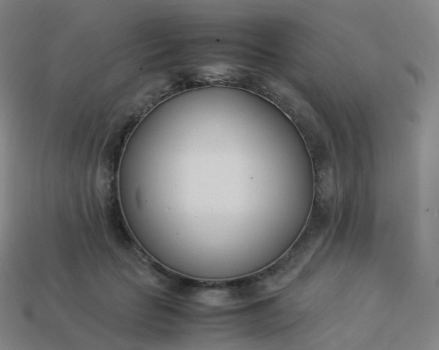 X0000113890653200910081809