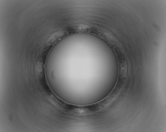 X0000113890654200910081809