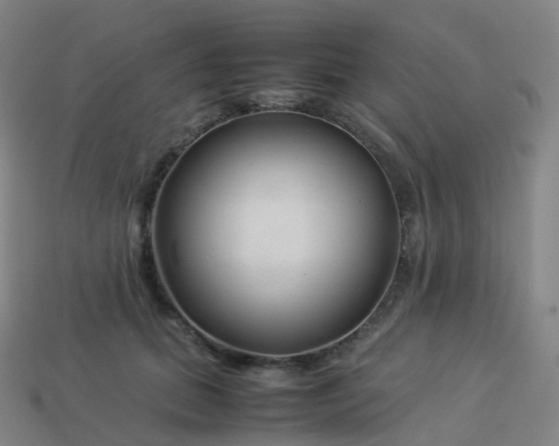 X0000113890655200910081809