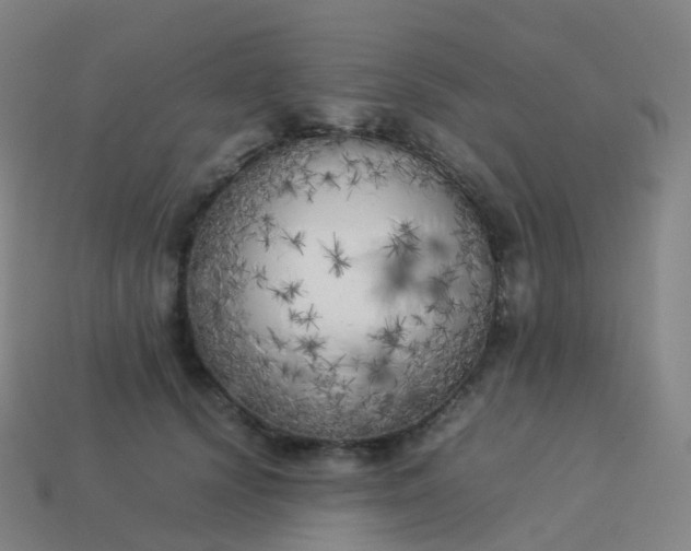 X0000113890656200910081809