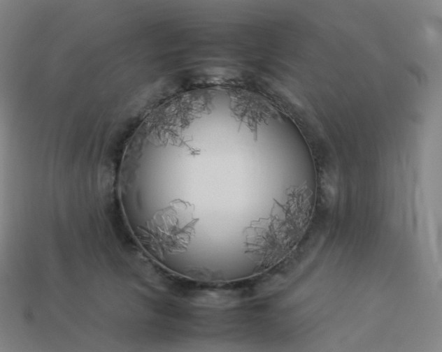 X0000113890657200910081809