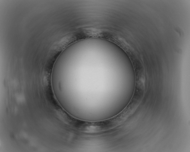 X0000113890658200910081809