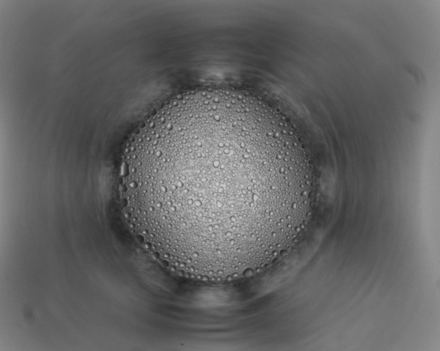 X0000113890659200910081809