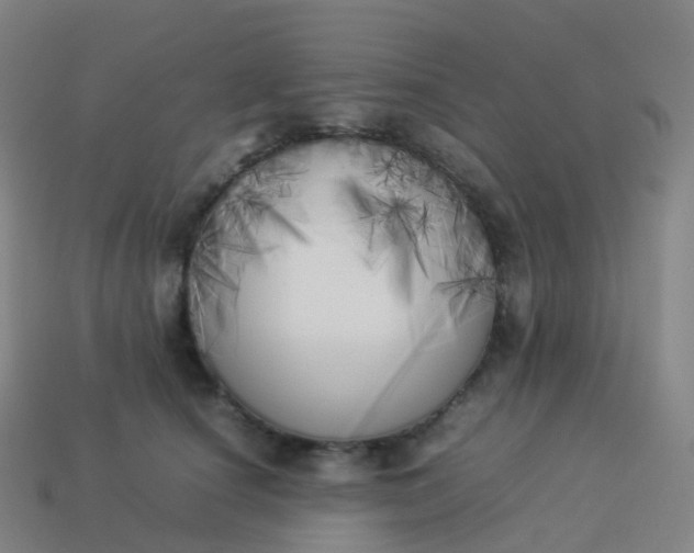 X0000113890660200910081809