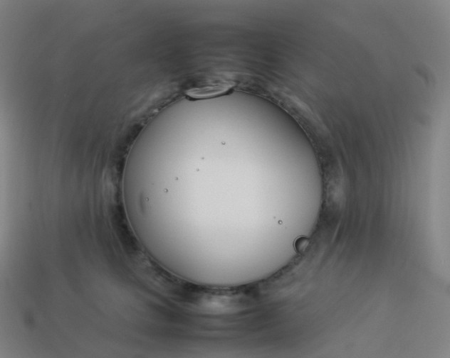 X0000113890661200910081809