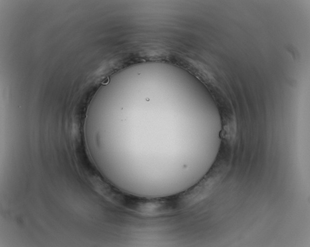 X0000113890662200910081809