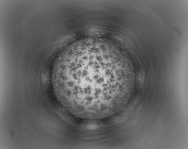 X0000113890663200910081809