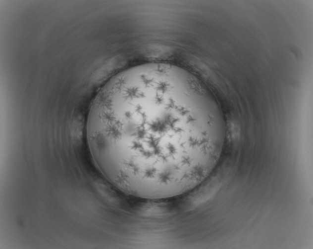 X0000113890664200910081809