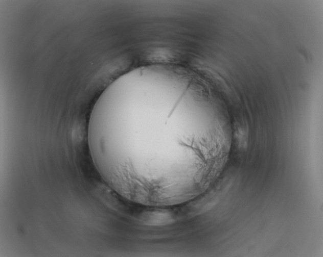 X0000113890665200910081809