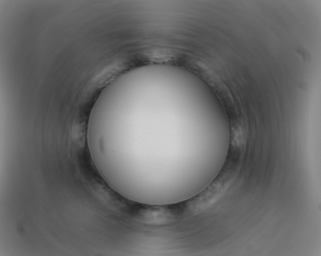 X0000113890666200910081809