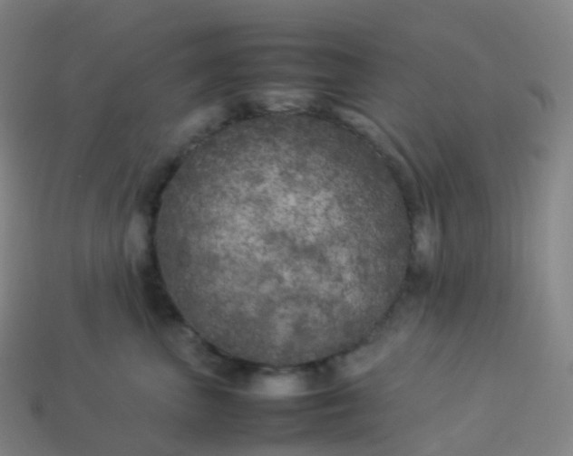 X0000113890667200910081809