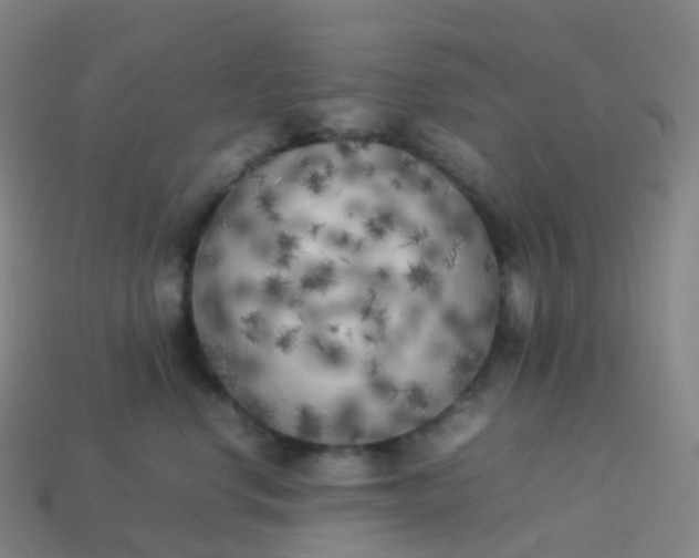 X0000113890668200910081809