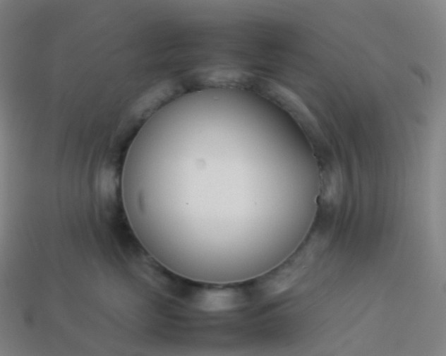 X0000113890669200910081809