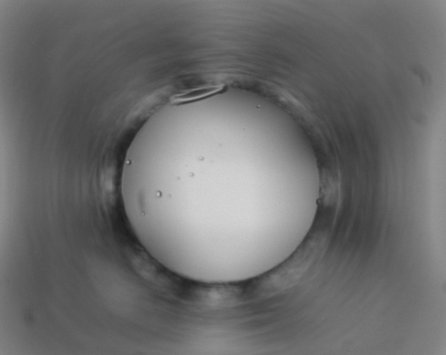 X0000113890670200910081809