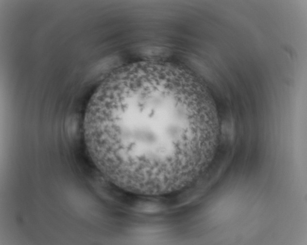 X0000113890671200910081809