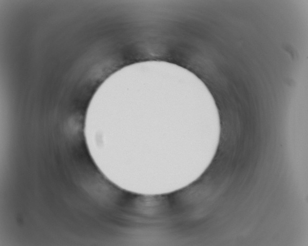 X0000113890672200910081809